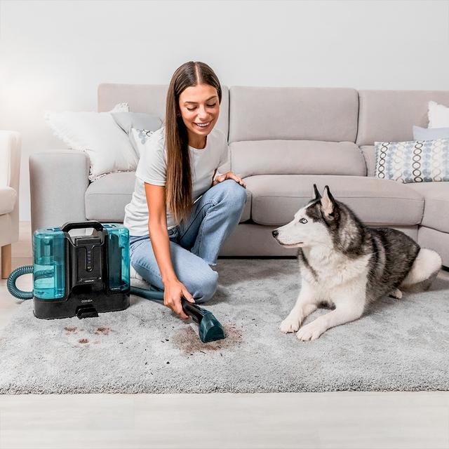 Cecotec Conga Carpet&Spot Clean Liberty XL Aspirador de tapicerías con Potencia de 150W con batería y autonomía de 30 minutos. Dos depósitos uno de agua limpia y otro de agua sucia. Pulverizador de agua y accesorio limpia ve Envío gratis