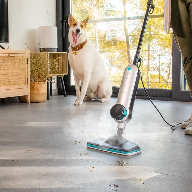 Cecotec HydroSteam 3030 Active. Vaporeta Vertical 1500 W Caudal de vapor de 20-30 g/min Calentamiento Rápido Autonomía de 20 min 3 Niveles de Control de vapor Tanque de 330 ml Vaporeta vertical Rebajas online