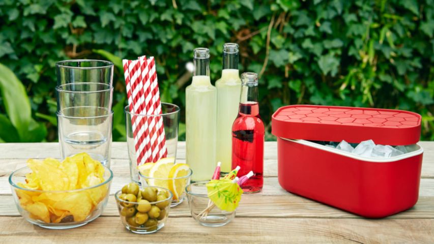 lékué Ice Box Última moda