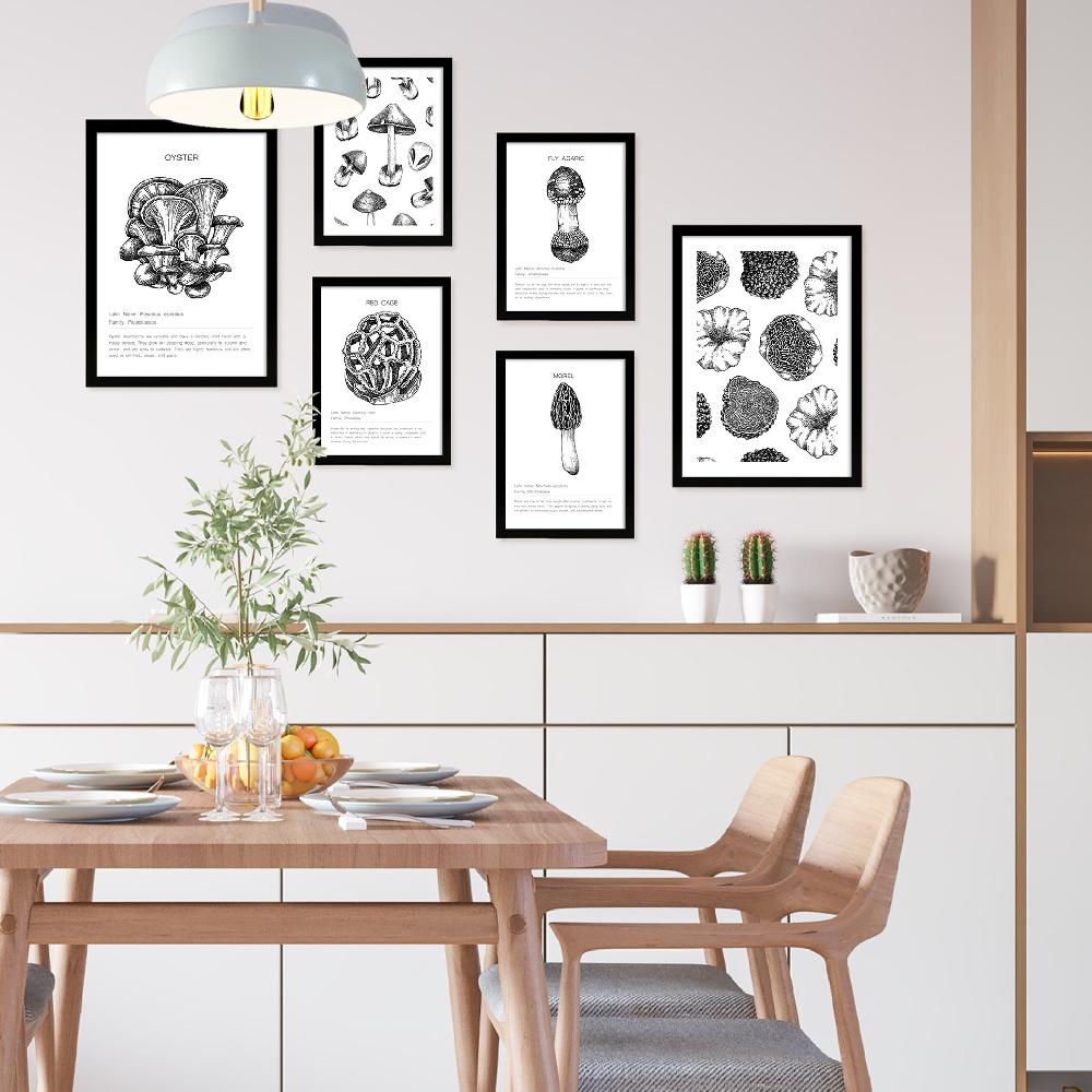 nacnic Composicion setas ilustraciones Descuento