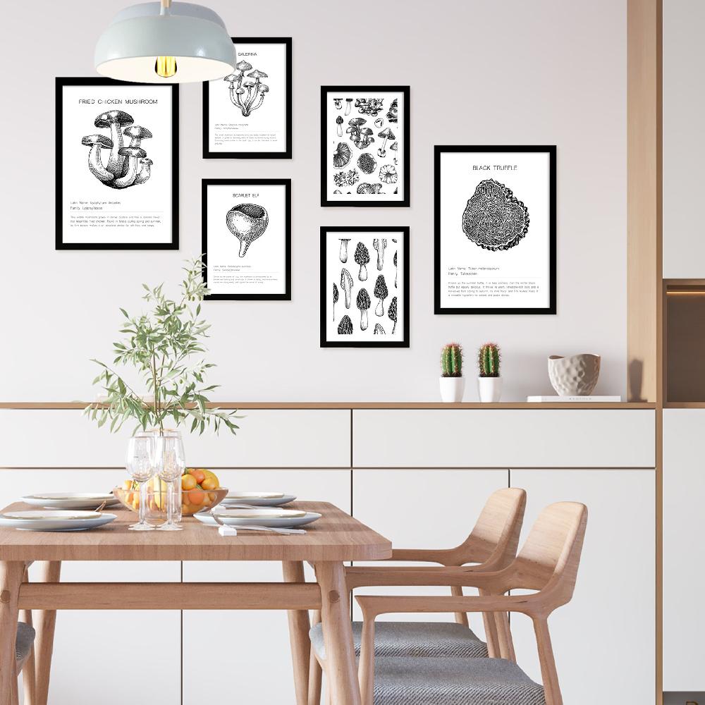 nacnic Ilustraciones de tipos de setas Oferta especial de fábrica