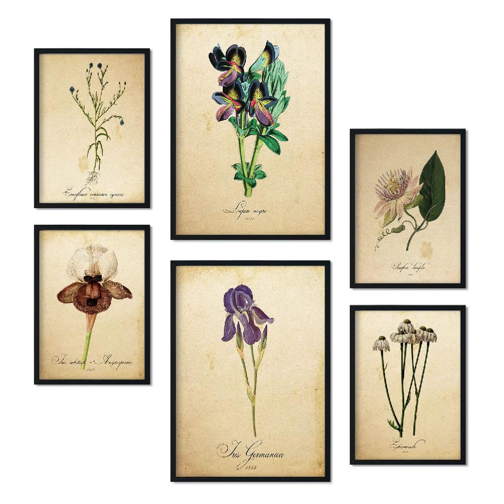 nacnic Set de 6 láminas de Flores vintage estilo collage Superdescuento