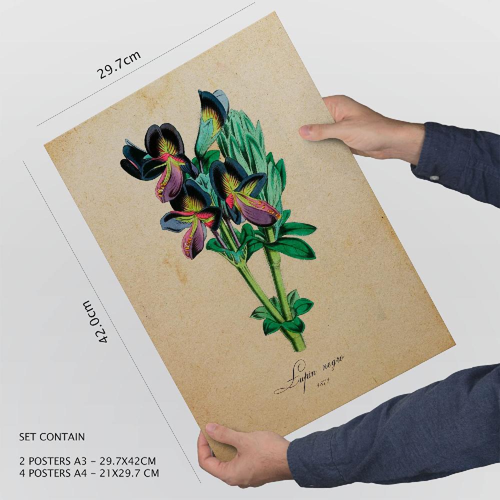nacnic Set de 6 láminas de Flores vintage estilo collage Superdescuento