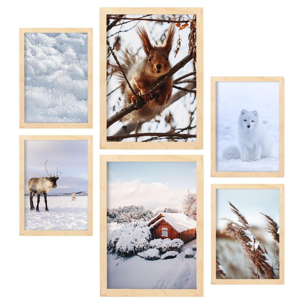 nacnic Láminas Modernas de Fotografía de Animales y Nieve Venta caliente