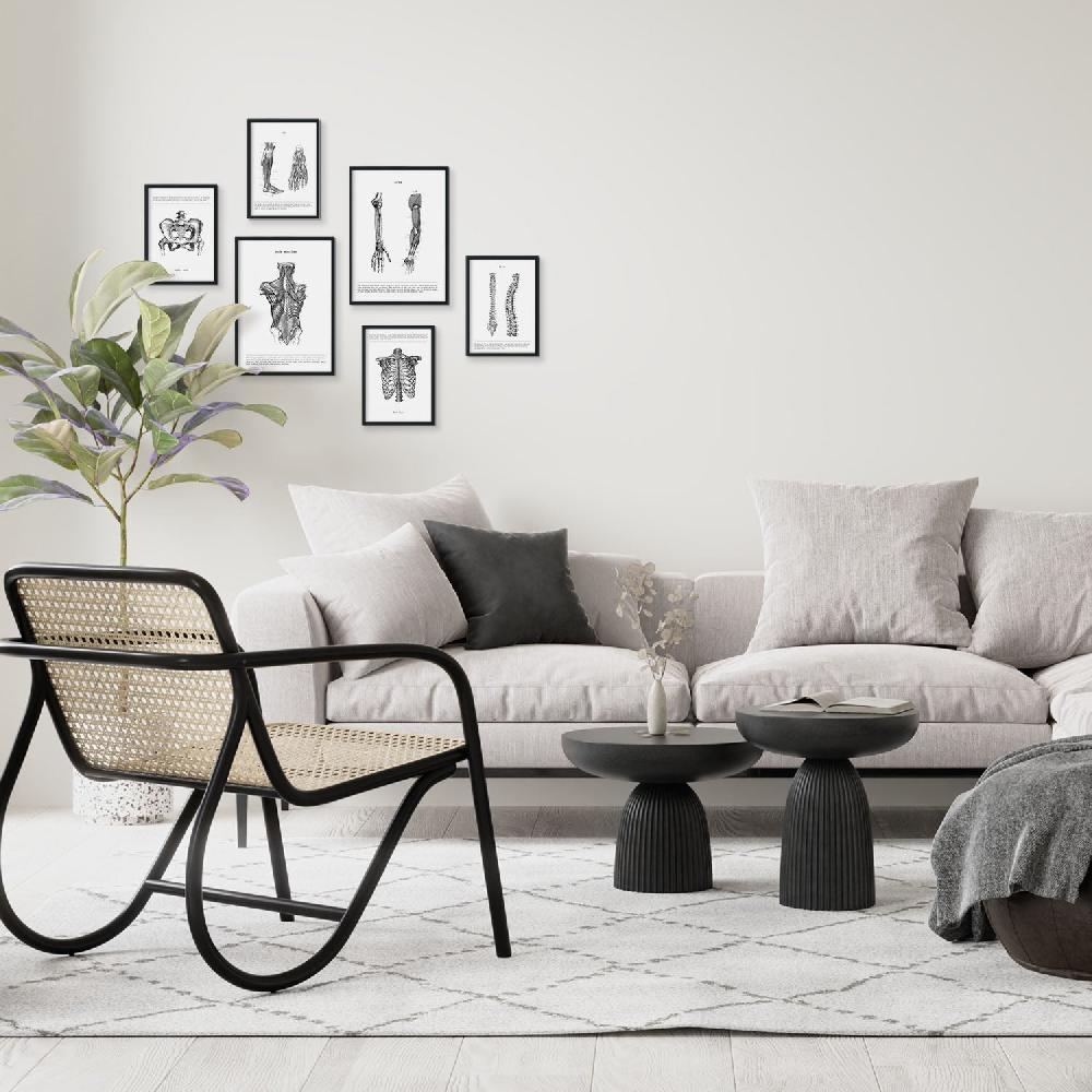 nacnic Set de 6 Láminas de Músculos y Huesos Estilo Collage