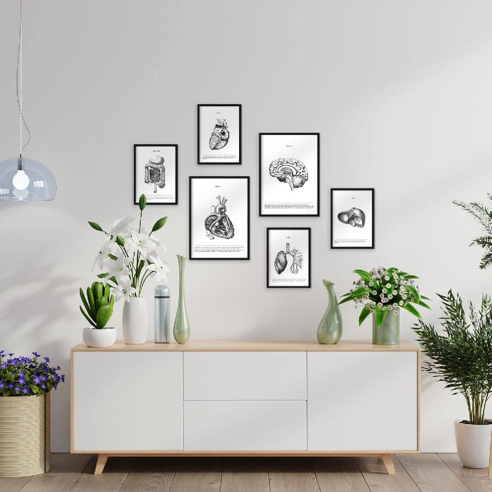 nacnic Set de 6 láminas de Órganos internos con estética collage Grandes ahorros
