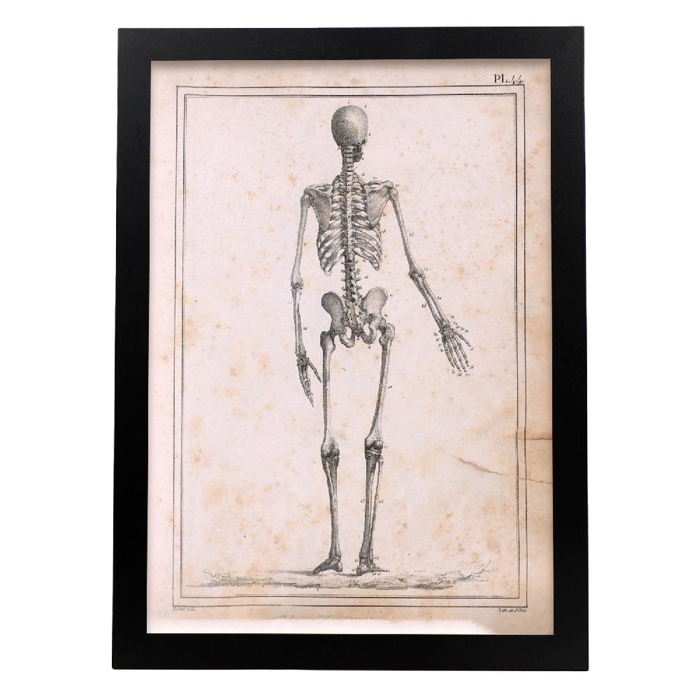 nacnic Cartel de Paillou Skeleton Devoluciones gratuitas