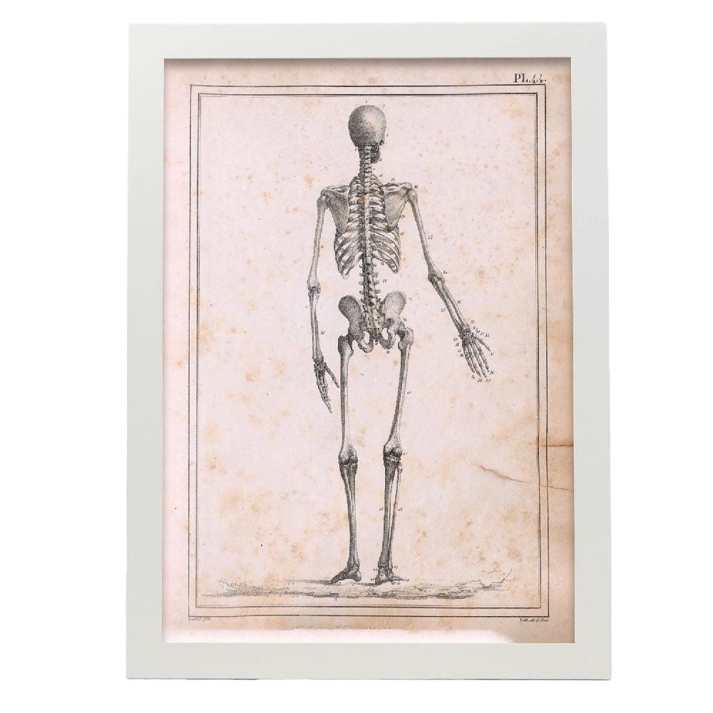 nacnic Cartel de Paillou Skeleton Devoluciones gratuitas