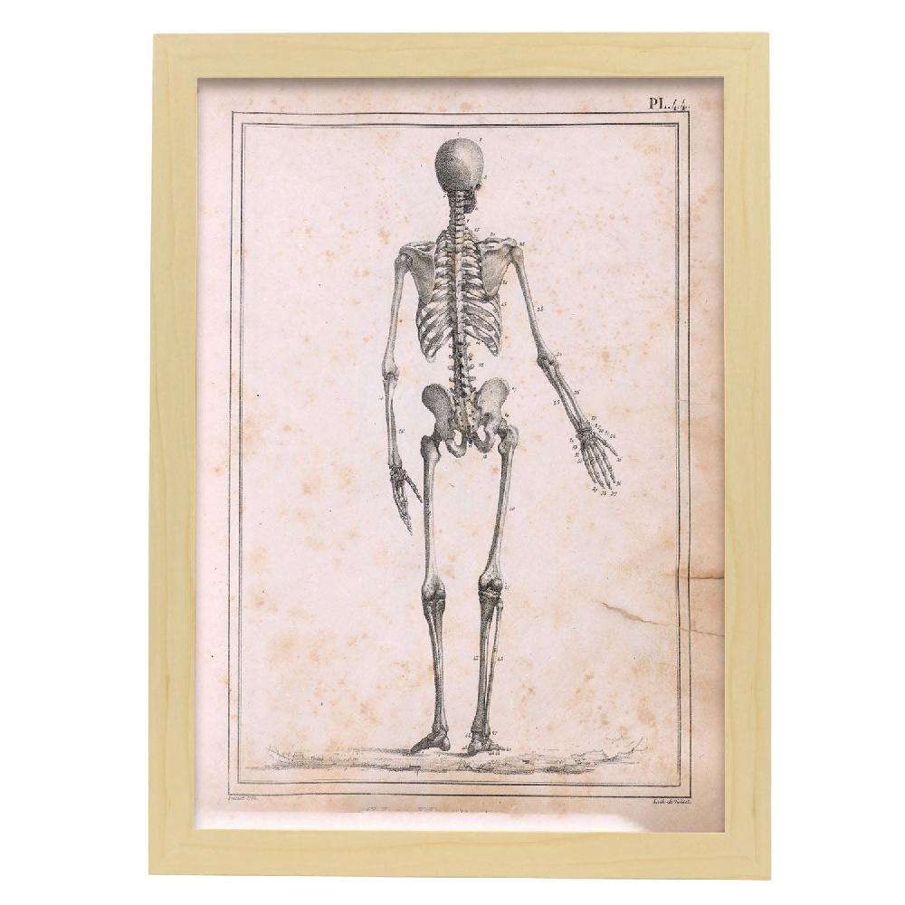 nacnic Cartel de Paillou Skeleton Devoluciones gratuitas