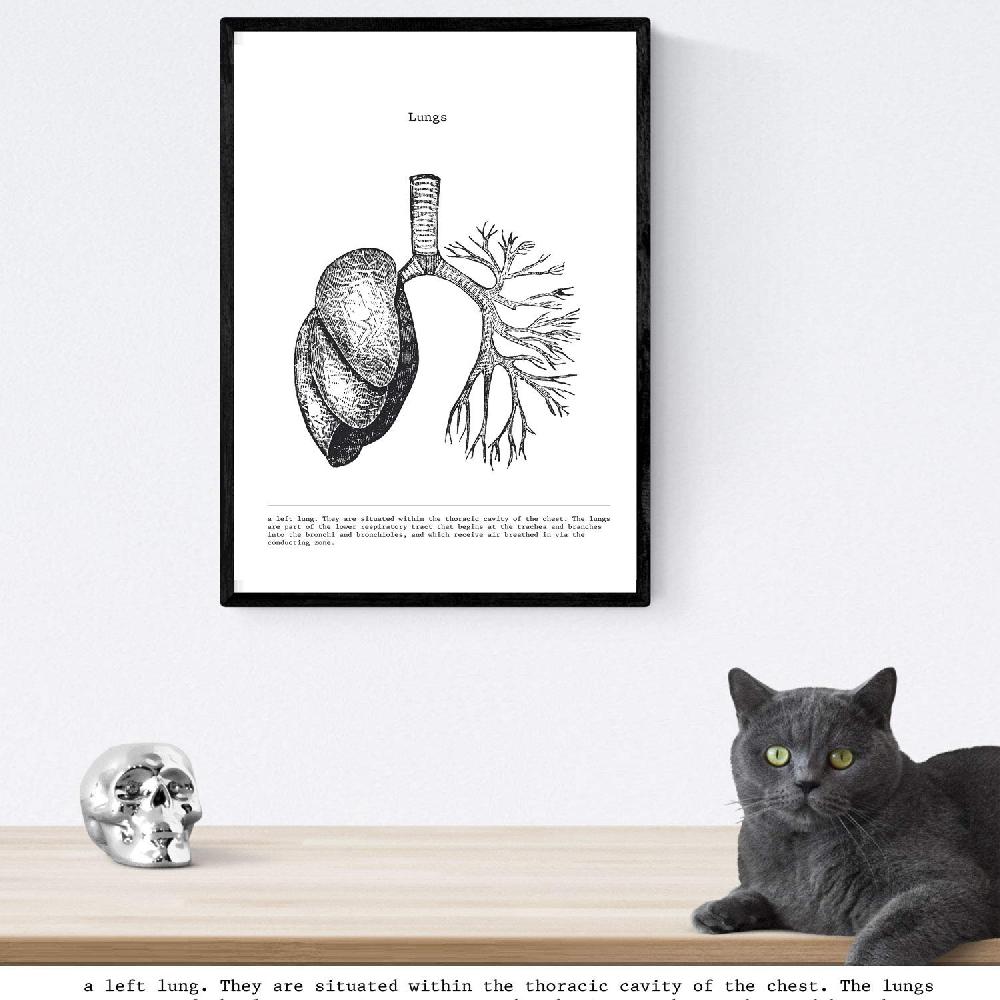 nacnic Set de 3 láminas de anatomía en blanco y negro: Corazón Hígado y Pulmones Outlet online