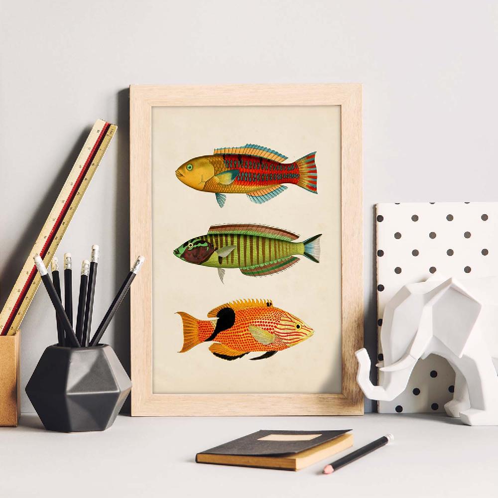 nacnic Lámina Vintage de Tres Peces Multicolores Tienda