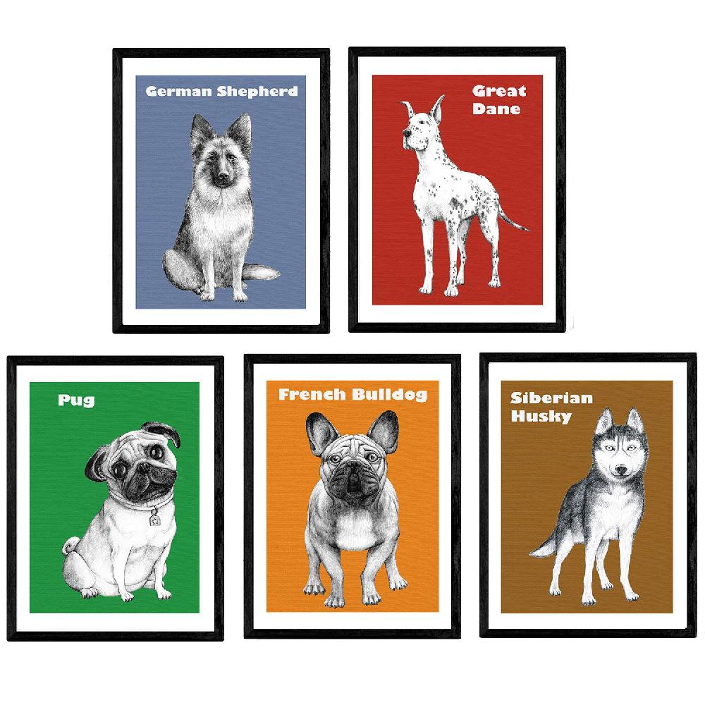 nacnic Pack de láminas pop art de perros de raza