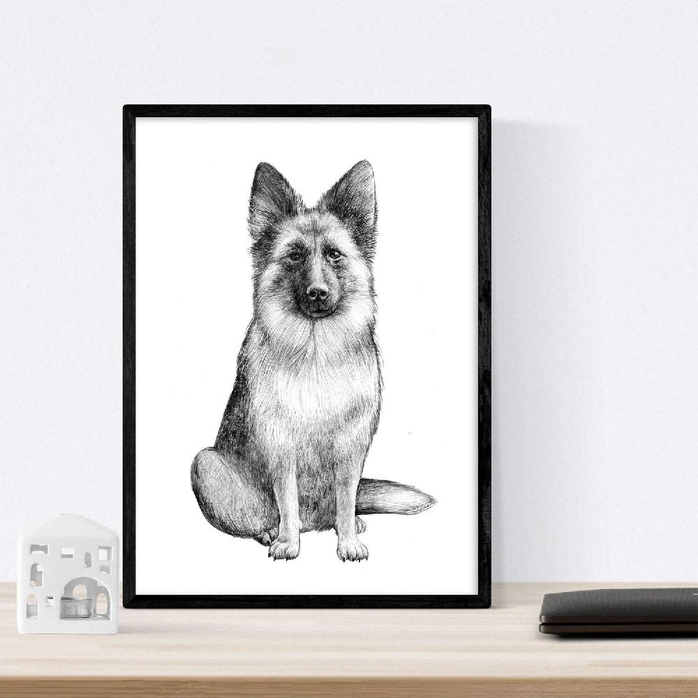 nacnic Pack de láminas de Perros de raza Rebajas online