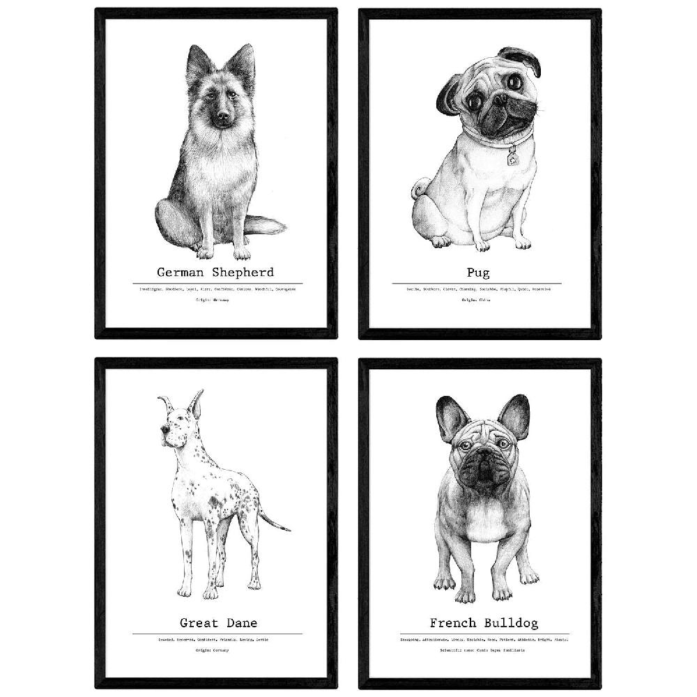 nacnic Pack de láminas de perros de raza