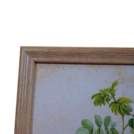 nacnic Set de 24 Marcos de Madera para Laminas en MDF con Cristal Frontal Precio de fábrica