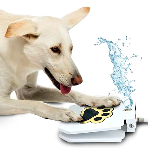 nacnic Trio Gato Fuente de Agua Potable para Perros