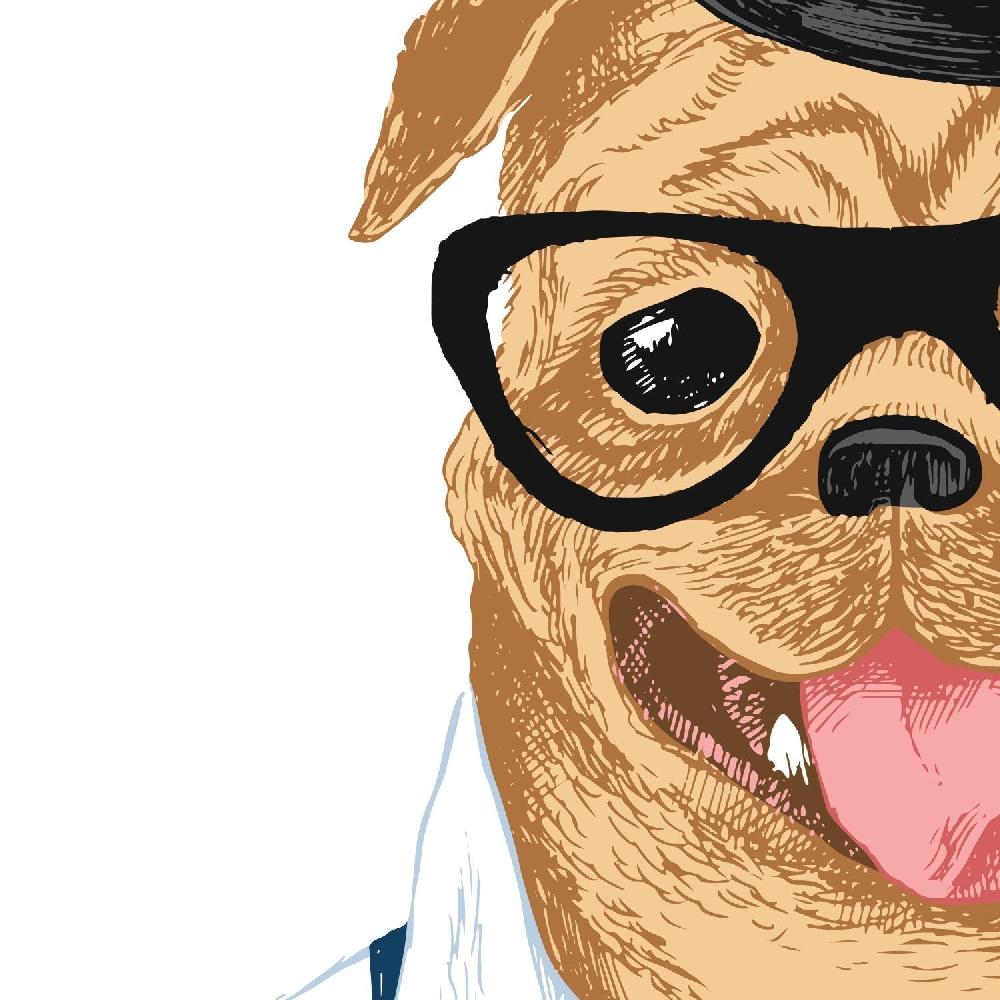 nacnic Set de dos láminas de Animales Ilustrados Envío internacional gratuito