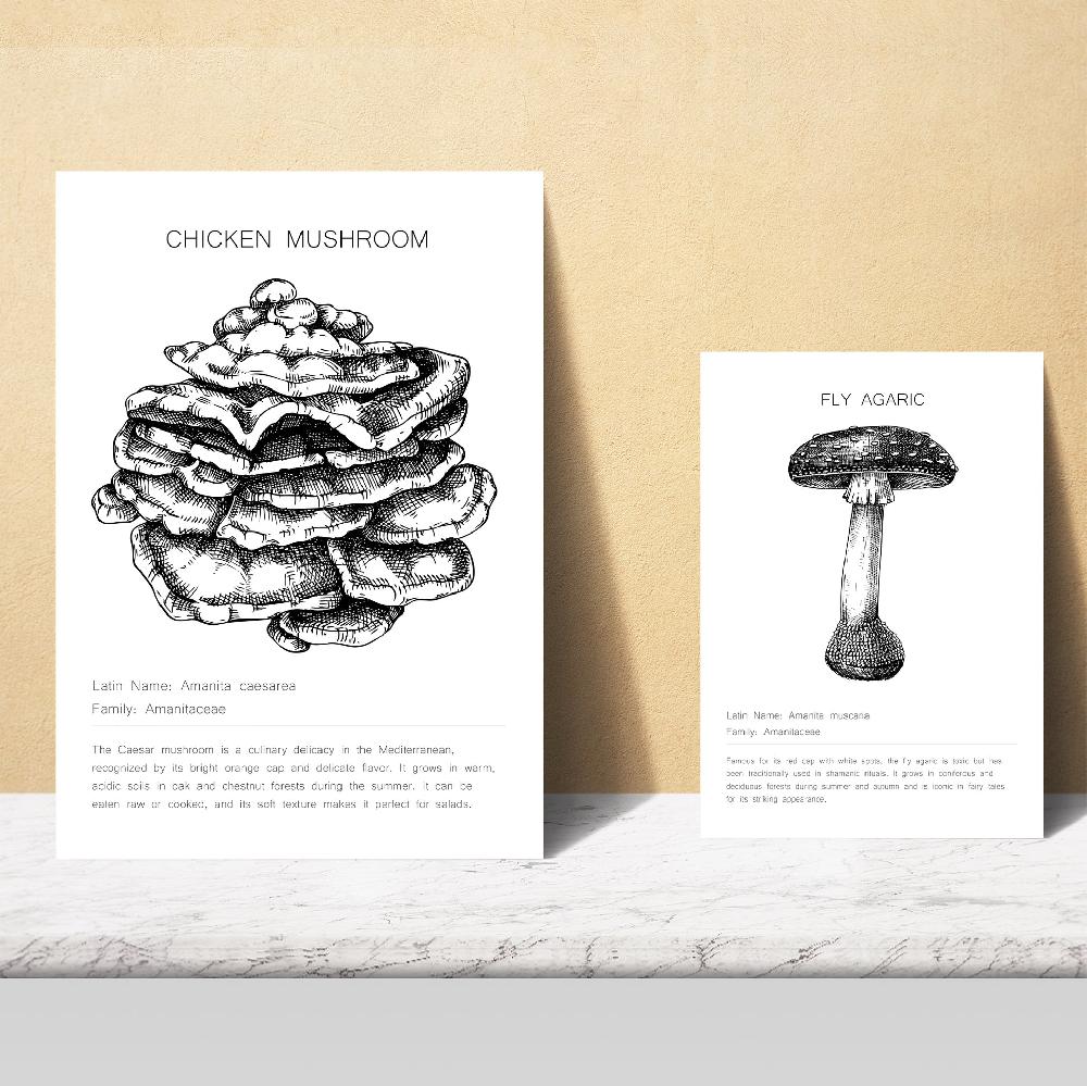 nacnic Composicion familias de setas blanco y negro En oferta