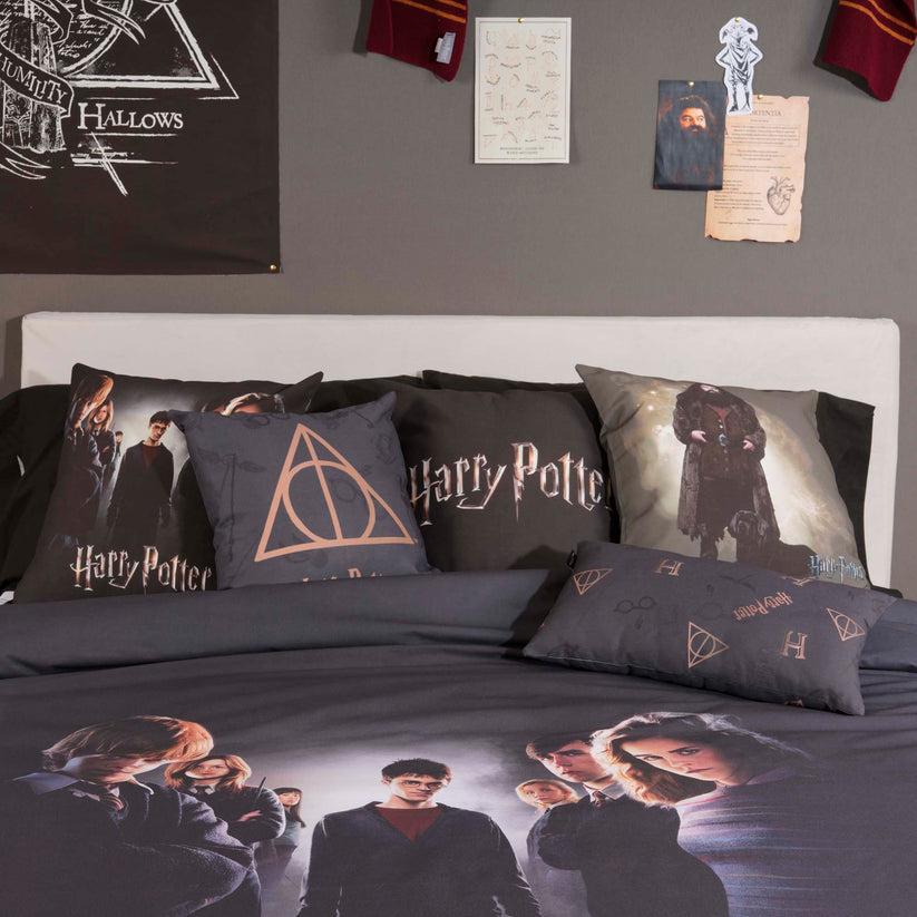 ripshop Funda de cojín Hagrid A 50X50 cm Harry Potter – Ripshop Oferta especial