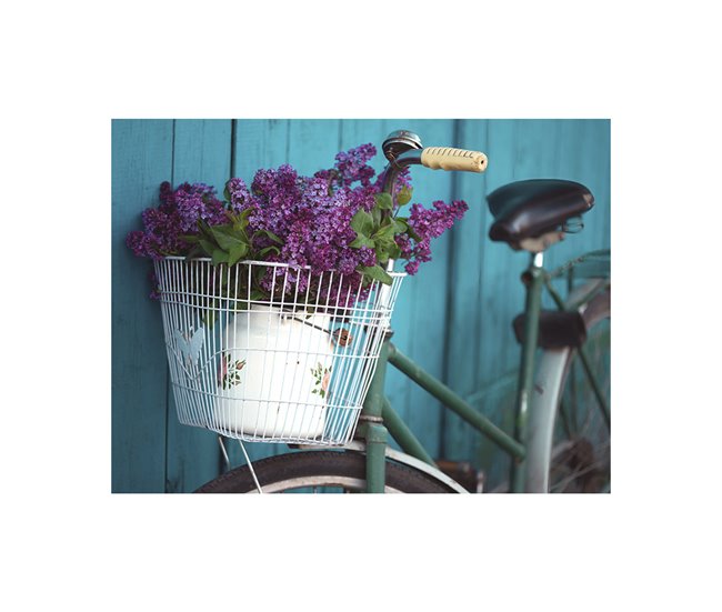 Conforama Canvas BICYCLE FLOWERS marca MARCO MUEBLE